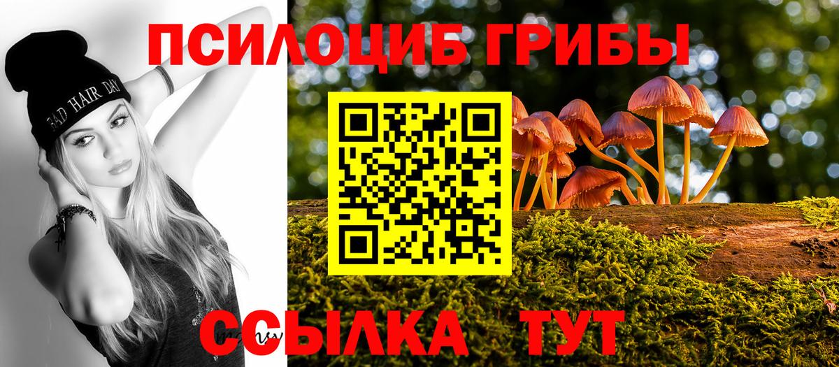 где купить наркотик  Галлюциногенные грибы Magic Shrooms  Вход с VPN  Мурманск 