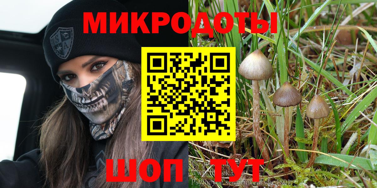 Галлюциногенные грибы ЛСД Мурманск